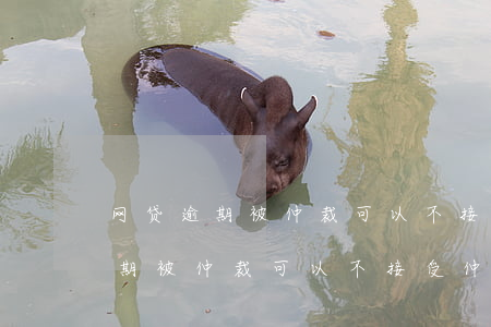 网贷逾期被仲裁可以不接受仲裁吗-网贷逾期被仲裁可以不接受仲裁吗知乎
