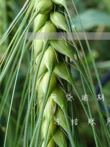 网贷逾期被仲裁多久冻结(网贷逾期多久会被冻结账户)