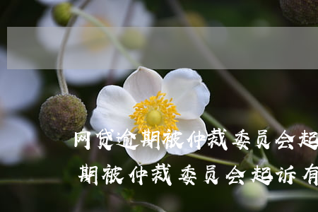 网贷逾期被仲裁委员会起诉有效吗-网贷逾期被仲裁委员会起诉有效吗知乎