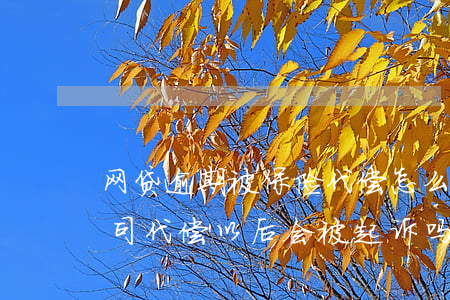 网贷逾期被保险代偿怎么起诉(网贷被保险公司代偿以后会被起诉吗)