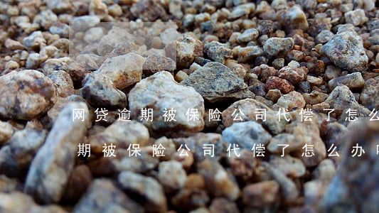 网贷逾期被保险公司代偿了怎么办-网贷逾期被保险公司代偿了怎么办呢