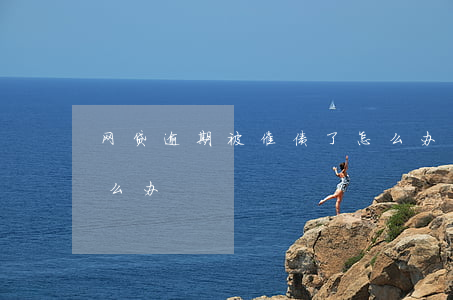 网贷逾期被催债了怎么办(网贷逾期被催收怎么办)