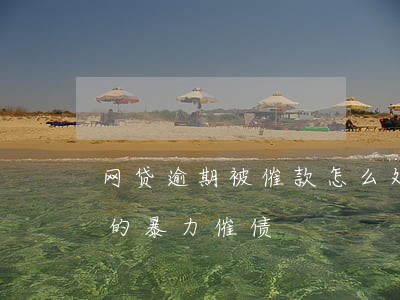 网贷逾期被催款怎么处理(如何应对网贷逾期的暴力催债)