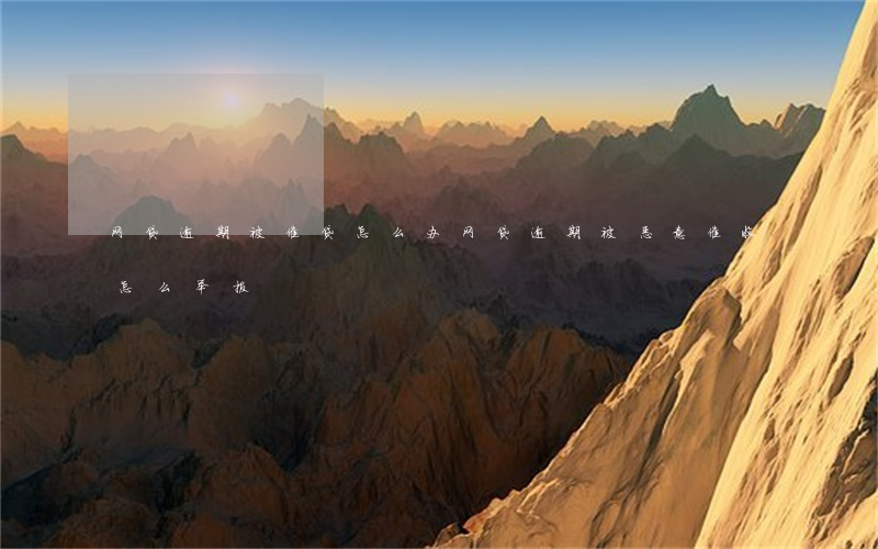 网贷逾期被催贷怎么办(网贷逾期被恶意催收怎么举报)