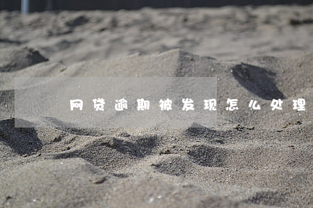 网贷逾期被发现怎么处理（网贷逾期被发现）