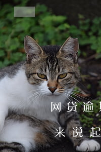网贷逾期被发起诉通知短信(网贷逾期发信息来说起诉立案)