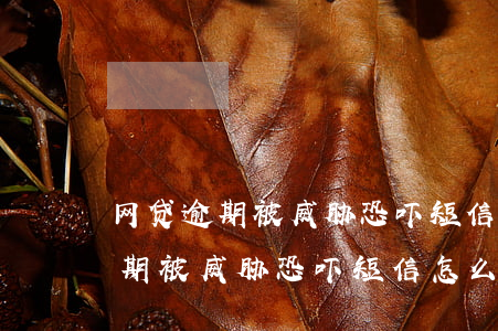 网贷逾期被威胁恐吓短信怎么回复-网贷逾期被威胁恐吓短信怎么回复他
