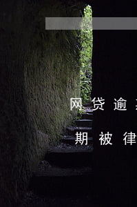 网贷逾期被律师发信息说起诉律所-网贷逾期被律师发信息说起诉律所是真的吗
