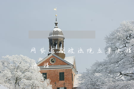 网贷逾期被法院立案流程(网贷逾期法院起诉流程)