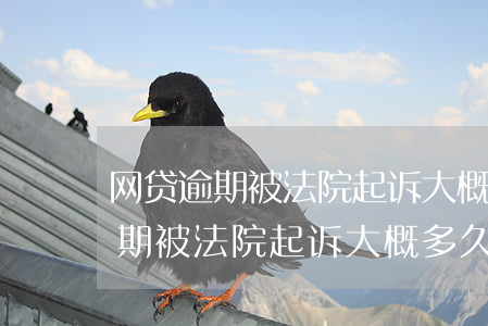 网贷逾期被法院起诉大概多久开庭-网贷逾期被法院起诉大概多久开庭审理