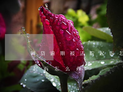 网贷逾期被法院起诉怎么办(网贷逾期被法院起诉怎么办)