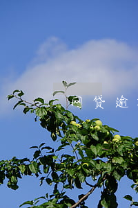 网贷逾期被爆微信吗