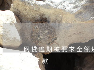 网贷逾期被要求全额还款(网贷逾期被要求全额还款)