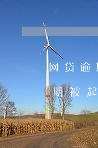网贷逾期被起诉不能去开庭怎么办-网贷逾期被起诉不能去开庭怎么办呢