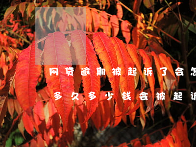 网贷逾期被起诉了会怎么计算利息(网贷逾期多久多少钱会被起诉)