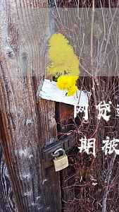 网贷逾期被起诉了没收到法院电话-网贷逾期被起诉了没收到法院电话怎么办