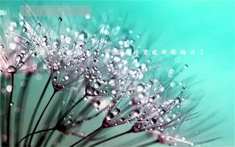 网贷逾期被起诉了留案底（网贷逾期被起诉了留案底）