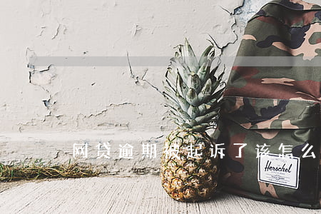 网贷逾期被起诉了该怎么办