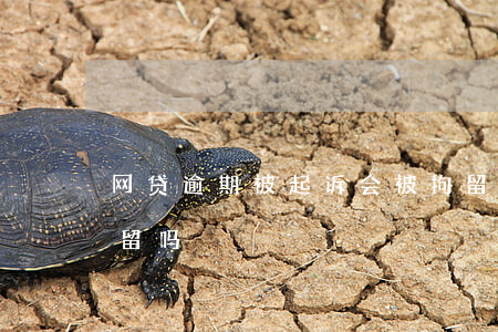 网贷逾期被起诉会被拘留吗(网贷逾期会被拘留吗?)