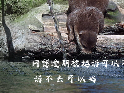 网贷逾期被起诉可以不应诉吗(网贷逾期被起诉不去可以吗)