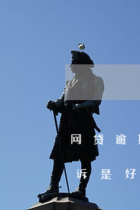 网贷逾期被起诉后会什么影响(网贷逾期被起诉是好事吗)