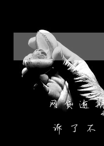 网贷逾期被起诉开庭不去什么后果 网贷被起诉了不去开庭会怎样