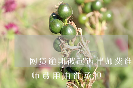 网贷逾期被起诉律师费谁来承担(网贷起诉律师费用由谁承担)