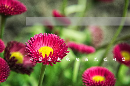 网贷逾期被起诉流程(网贷逾期被起诉流程)