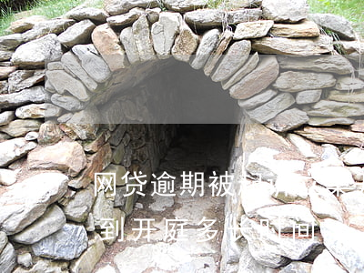 网贷逾期被起诉立案开庭了(网贷逾期被起诉到开庭多长时间)