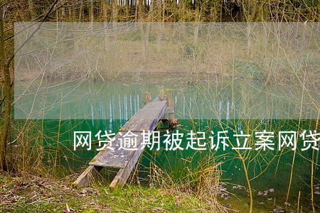 网贷逾期被起诉立案（网贷逾期起诉立案周期）