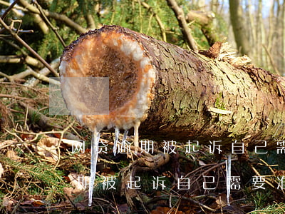 网贷逾期被起诉自己需要准备什么-网贷逾期被起诉自己需要准备什么材料