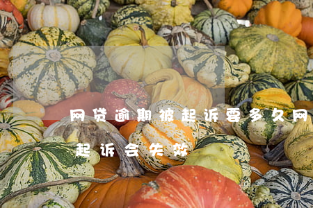 网贷逾期被起诉要多久（网贷逾期多长时间后起诉会失效）