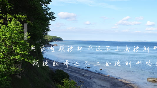 网贷逾期被起诉还不上会被判刑吗-网贷逾期被起诉还不上会被判刑吗知乎