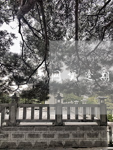 网贷逾期被追债(网贷逾期被追债会怎么样)
