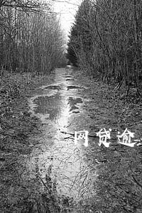 网贷逾期被追回-网贷逾期了被起诉怎么办