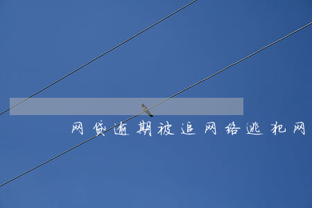 网贷逾期被追网络逃犯(网贷逾期在逃人员)