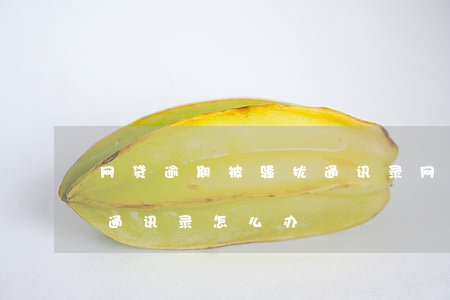 网贷逾期被骚扰通讯录(网贷平台催收骚扰我通讯录怎么办)