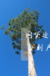 网贷逾期要去户口所在地(网贷逾期发消息说会到户籍地是真的吗)