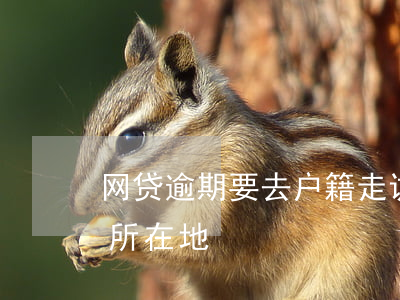 网贷逾期要去户籍走访(网贷逾期说联系户籍所在地)