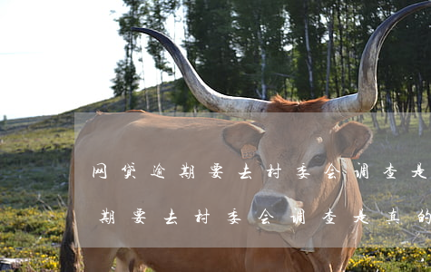 网贷逾期要去村委会调查是真的吗-网贷逾期要去村委会调查是真的吗吗