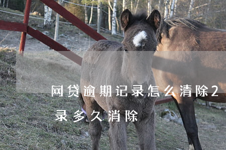 网贷逾期记录怎么清除(2017网贷逾期记录多久消除)