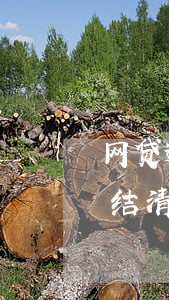 网贷逾期记录能清理吗(网贷有逾期记录但已结清会影响吗)