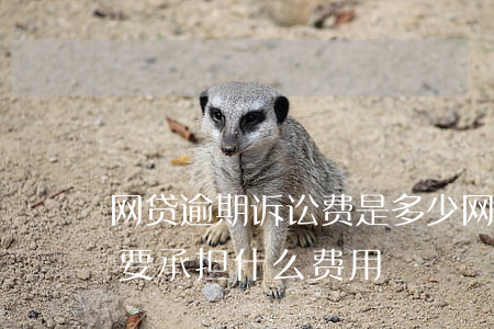 网贷逾期诉讼费是多少(网贷逾期被起诉败诉要承担什么费用)