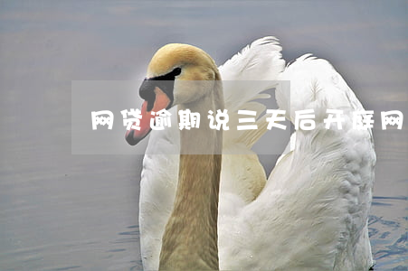网贷逾期说三天后开庭(网贷逾期3天)