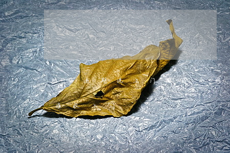 网贷逾期说上门搬东西(网贷逾期外包给本地催收上门)