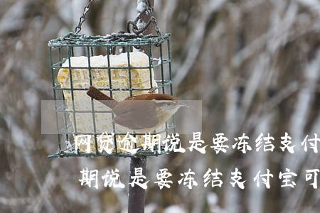 网贷逾期说是要冻结支付宝可能吗-网贷逾期说是要冻结支付宝可能吗是真的吗