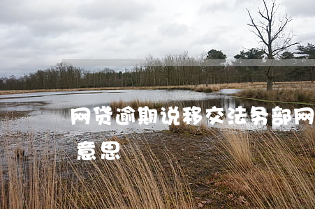 网贷逾期说移交法务部(网贷移交法务部什么意思)
