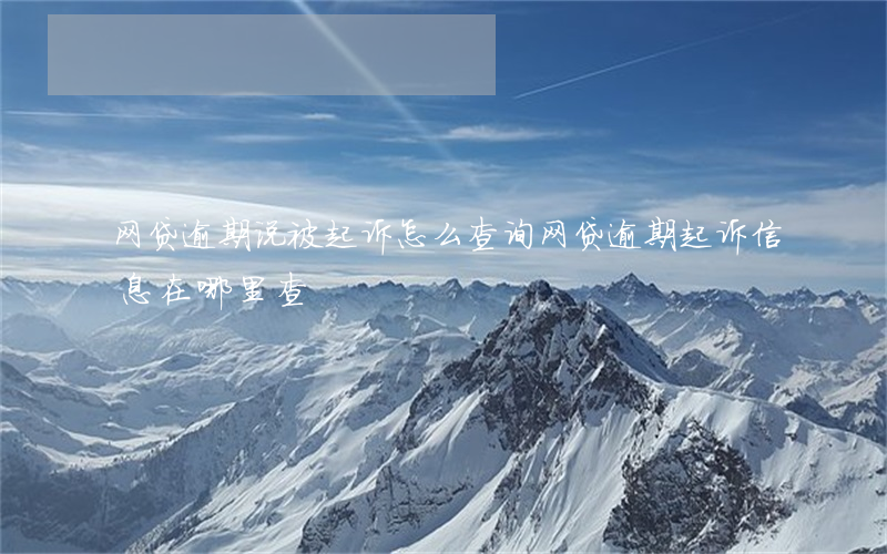 网贷逾期说被起诉怎么查询(网贷逾期起诉信息在哪里查)