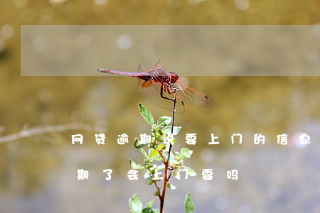 网贷逾期说要上门的信息(app上的网贷逾期了会上门要吗)