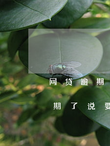 网贷逾期说要去老家走访真的假的-网贷逾期了说要走访真的还是假的